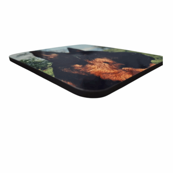 PACK DE 4 POSAVASOS - Imagen 2