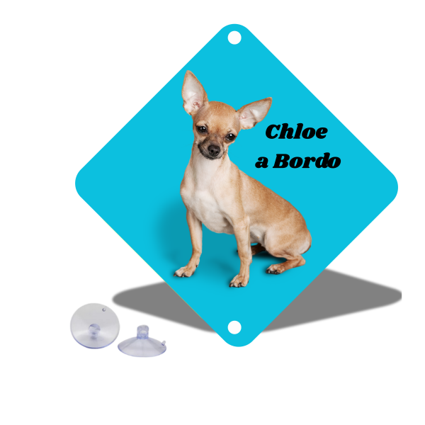 CARTEL "MASCOTA A BORDO"