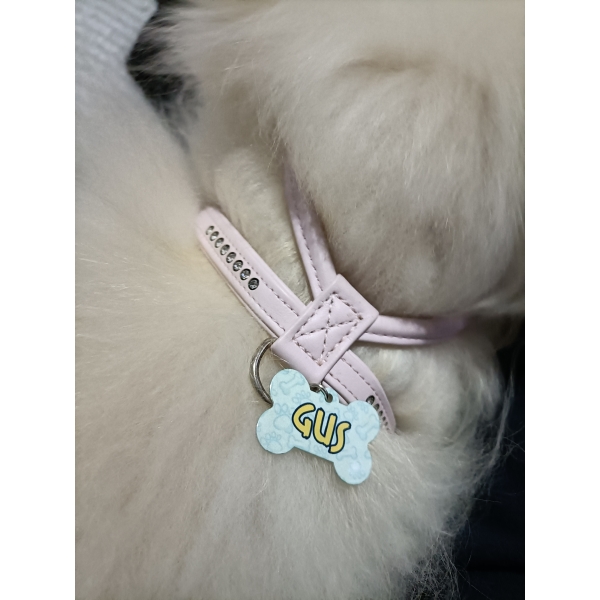 CHAPA MASCOTA - Imagen 3