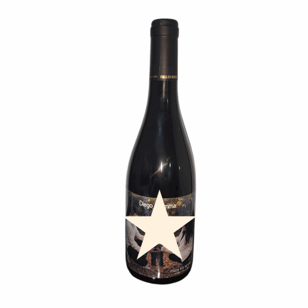BOTELLA DE VINO CON FOTO